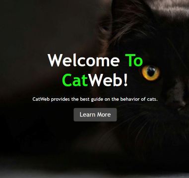 CatWeb